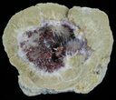 Aragonite & Kutnohorite Crystal Geode Half - Italy #61769-1
